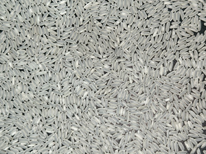 Riz parfumé à grain long de qualité supérieure, Grade 1 du Mékong du Sud, nouvelle récolte, texture moelleuse, exporté vers l'UE, les États-Unis, l'Afrique, les Émirats arabes unis, l'Australie - Grace - Product Image 5