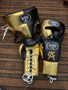 Canelo No Boxing No Life MMA Gloves Sanda Leather Boxing Gloves <b>Head</b>/Groin Guards White Gold Unisex <b>Training</b> Set Hand Grips - Product Image 1