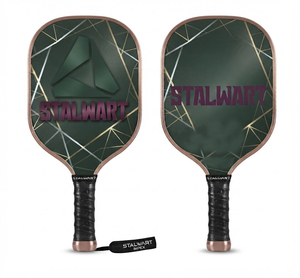 STALWART IMPEX Pickleball Pro Elite Series, manche allongé standard à 40 trous, antidérapant, cœur en maille nid d'abeille, léger, pour la compétition - Product Image 1