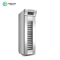 Équipement de pâtisserie, four à convection au gaz, four à convection électrique multifonction, four à convection 50l