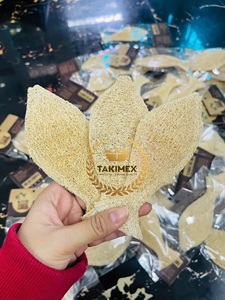 100% Natural Loofah <span class=keywords><strong>Catnip</strong></span> Cat Toy Precio barato de fábrica Loofah Chew Toys de Takimex Vietnam 12cm <span class=keywords><strong>Fish</strong></span> Bone Shaped - Product Image 5