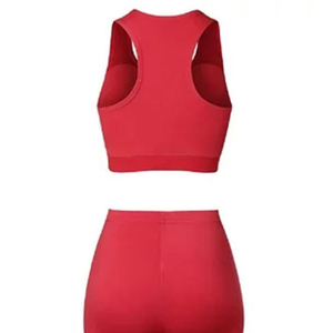 Fournisseur en gros propose des ensembles de yoga 2 pièces de haute qualité pour femmes avec logo personnalisé et service professionnel. - Product Image 6