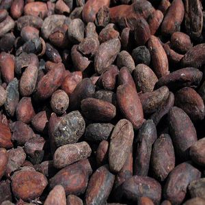 Granos de Cacao Fermentados y Secos de Primera Calidad, Grado A/AA, 100% Puros para la Elaboración de Chocolate y Uso en Panadería, OEM Austria - Product Image 1