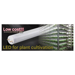 Tubo LED de 16W de Calidad Excepcional y Precios Versátiles para Cultivo Hidropónico, Iluminación de Espectro Completo para Crecimiento de Plantas, Vertical - Product Image 1