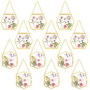 Cadre photo élégant vintage en métal à suspendre, en verre transparent, pour portraits, fleurs séchées, spécimens, ou présentation de table de mariage - Product Image 4