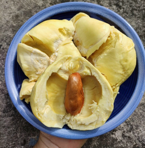 ผงเมล็ดทุเรียนแห้ง แป้งเมล็ดทุเรียนบดละเอียด ผงเมล็ดทุเรียนความหนืดสูง วัตถุดิบสำหรับเบเกอรี่ บรรจุถุง PP ขนาด 10 กก. 25 กก. - Product Image 5