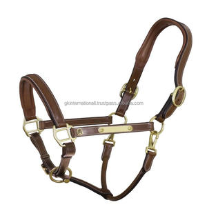 Cabestro para caballo de cuero acolchado marrón de doble capa resistente con costuras en contraste y accesorios de latón ajustables y sólidos. - Product Image 2
