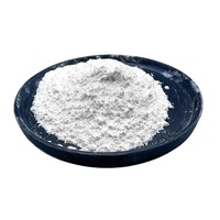 Carbonato de Calcio Pesado Activado Nano de Alta Pureza 05-75 micras para Recubrimiento Acrílico de Plástico y Pintura para Barcos - Precio de Fábrica