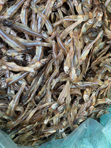 Anchois séchés au soleil du Vietnam, poisson entier naturel séché pour la transformation alimentaire, l'approvisionnement des restaurants et la distribution en gros de fruits de mer - Product Image 1