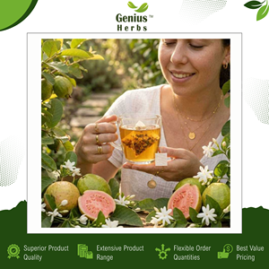 Guava Leaf <b>Tea</b> Organic Pyramid Bag Herbal Biodegradable <b>Slim</b> Immune Detox OEM Wholesale Supply - Product Image 6