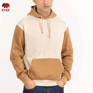 Sweat-shirts à capuche unis pour hommes, style pull-over, avec logo personnalisé, 100% coton molletonné respirant, design ODM, prix de gros pour l'hiver - Product Image 5