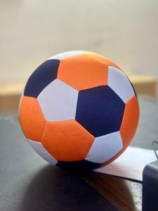 Fort Worth Sports Eco-Friendly Durable Soft Lightweight Breathable Classic Indoor Soccer <b>Ball</b> Kids Youth High Grip Real <b>Bounce</b> - Product Image 5