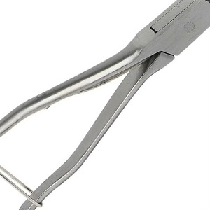 Herramienta de identificación de ganado de acero inoxidable para cerdos, cabras, ovejas y ganado vacuno, herramienta veterinaria para granjas. - Product Image 2