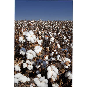 Déchets d'aluminium 6063 de qualité supérieure pour extrusion, grandes quantités à l'exportation pour la fabrication d'alliages, la fusion et la réutilisation - Product Image 1