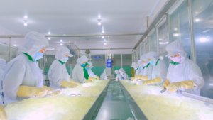 Aloe Vera tập trung với bột giấy 10 kg nước trái cây cơ sở vinut 1 túi Túi OEM ODM nhãn hiệu riêng mẫu miễn phí Việt Nam nhà máy bán buôn - Product Image 3