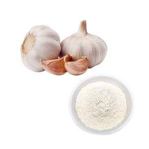 Polvo de Ajo Deshidratado Silvestre de Alta Calidad, Extracto de Corteza de Grado Alimenticio para Suplementos Nutracéuticos, Productos de Bienestar Herbal - Product Image 1