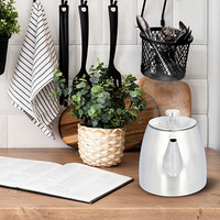 Nouveau design Double couche en acier inoxydable 304 bouilloire à thé chaud SS 304 cafetière bouilloire à thé