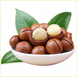เม็ดมะคาเดเมียออร์แกนิกจากเวียดนาม – เม็ดอบแห้งแบบลวกทั้งเม็ด จำหน่ายส่งออกจำนวนมาก ขายส่งโดยตรงสำหรับผู้ซื้อทั่วโลก - Product Image 4