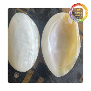 Premium Polished Shell Plate Mother of Pearl Decorative Plate for Luxury Home Decor - Product Image 5