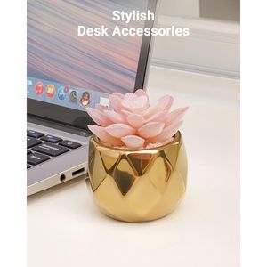 Vasi in Ceramica Rosa Dorata con Piccole Piante Succulente Artificiali, Decorazioni Natalizie per Interni, Frutta Natalizia in Ceramica Dorata - Product Image 6