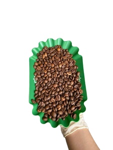 Granos de Café Robusta Tostados de Alta Calidad, Grado 1, Origen Gia Lai, Vietnam, Empaque a Granel en Bolsa de 60 kg - Product Image 2