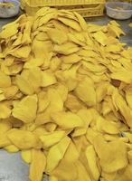 [HOT ITEM] Zoete Gedroogde Zachte Mango Tropische Mango Snack Bulk AD Proces Water Familie Deelverdeler Dagelijks Genot Vietnam Grootverpakking