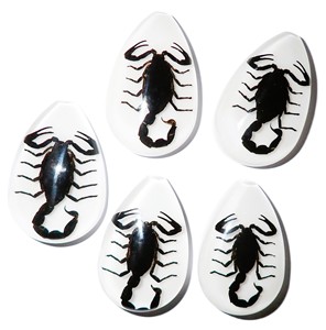 Black Scorpion Real Specimen Plastic Cabochon Pear Cut <b>Top</b> 46x30 mm White Flat Bottom for Crafts and Jewelry Making - Product Image 6