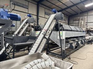 Máquina clasificadora de anacardos crudos de 6M de alta calidad, nueva condición, directo de fábrica desde Vietnam, el mejor precio - Product Image 5