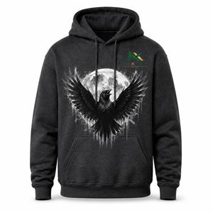 Sweat-shirt à capuche personnalisé avec imprimé corbeau et lune gothique pour homme, style streetwear esthétique sombre - Product Image 6