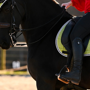 Tapis de selle carré matelassé confortable pour selle anglaise, tapis de selle tout usage pour le saut d'obstacles 2026, tapis de selle pour cheval de bonne qualité et personnalisé - Product Image 6