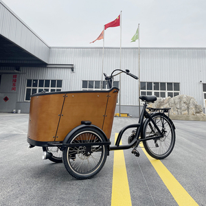 Bakfiet électrique à 3 roues vélo cargo à trois roues vélo cargo électrique adulte avec panier pour chien - Product Image 3