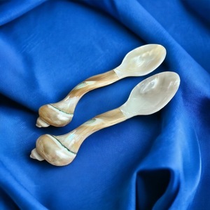 Elegant Handmade Mother of Pearl <b>Spoon</b> for Kitchen Display Dessert and Coffee <b>Serving</b> Use - Product Image 5
