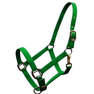 Harnais de cheval en nylon vert réglable avec fermeture à boucle, équipement d'équitation pour l'entraînement - Product Image 2