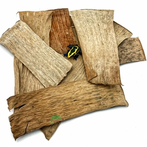 Hojas de Banaba de Calidad de Exportación, Grado Alimenticio, Materia Prima Herbal Seca para Té de Hierbas, Remedios Tradicionales y Extractos de Plantas - Product Image 5