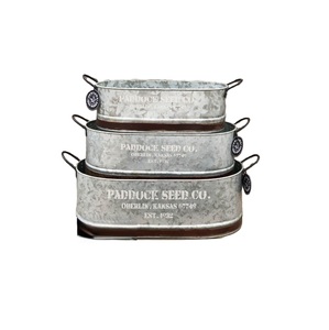 Eco-Friendly Oval Shape <b>Galvanized</b> <b>Bucket</b> Planters with Metal Handles Customizable Size for Home & Garden Flower Pots - Product Image 1