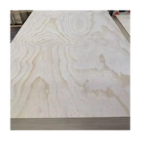 Coeur en contreplaqué d'eucalyptus 4x8 pieds pour la construction de sous-couche de revêtement de sol stratifié, bois multicouche