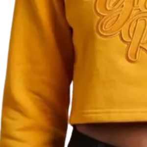 Sigma Gamma Rho Gold Cropped Crewneck Sweater Premium Knit Pullover Short Length Winter Embroidery Fashion Sweatshirt Women's - Product Image 6