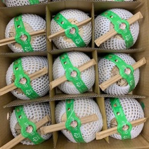 Coco Semidescascarillado de Vietnam, Precio Directo de Fábrica, Fruta Tropical Madura Fresca, Suministro al por Mayor, Producto Natural de Primera Calidad - Product Image 1
