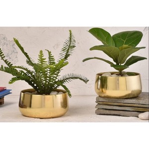 Macetero de Metal de Diseño Admirable con Acabado Dorado, Maceta para Plantas, para Hogar o Jardín - Product Image 2