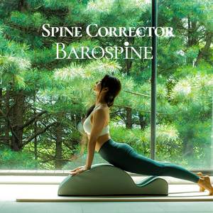 [FINI] WADO Barospine Pro : Équipement de Yoga et Pilates pour Étirements du Dos, Correcteur de Posture, Outil d'Aide au Bien-être et aux Étirements - Product Image 4