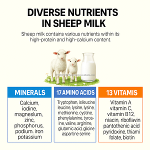 Leche de Cabra en Polvo OEM Alta en Calcio, 25g de Proteína, con Vitamina D, Magnesio y Zinc para el Crecimiento Muscular de Adultos y Niños, de Corea - Product Image 5