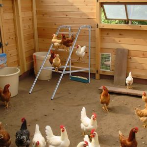 Pollaio Esterno per Galline 103*50*100cm, Gabbia per Animali Resistente e Confortevole - Product Image 5