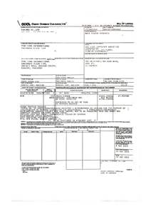 Jengibre fresco vietnamita de alto estándar para exportación para uso alimentario-WhatsApp + 84366808683 - Product Image 6