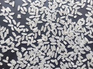 Arroz Calrose Egipcio/Arroz de Grano Mediano para Servicios de Alimentos y Venta al por Menor - Product Image 3