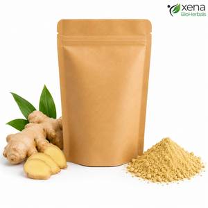 Fabricant d'extrait de gingembre biologique en poudre, fournisseur en gros d'extrait de gingembre naturel en vrac, OEM - Product Image 2