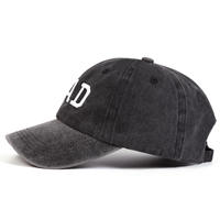 Casquette de baseball unisexe en sergé de coton léger, style Oxford, ajustable, prête pour la broderie, tendance et luxueuse, vente en gros