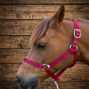 Nouvelle harnais de cheval en nylon jaune personnalisé, réglable, fait main, plusieurs options de couleurs, G.K. INTERNATIONAL NH 1816 - Product Image 5