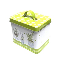 Boîte en métal rectangulaire personnalisée avec poignée, imprimée avec un motif végétal, 90x65x78mm, petite boîte de rangement pour thé, biscuits, bonbons, cadeaux