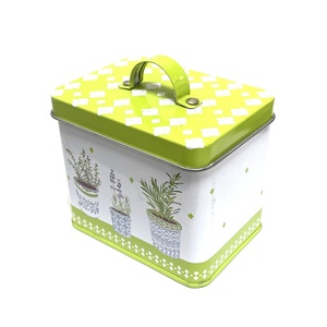 Caja Metálica Rectangular Personalizada con Impresión de Plantas, 90x65x78mm, con Asa, para Guardar Té, Galletas, Dulces y Regalos - Product Image 5