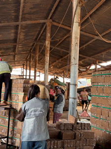 High Performance Coco <b>Coir</b> Pellets for Soil Moisture and Root Growth Fast Delivery Direct Factory Pricing by VIFARMEX - Product Image 4